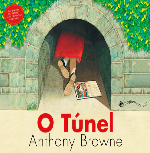 capa livro o túnel